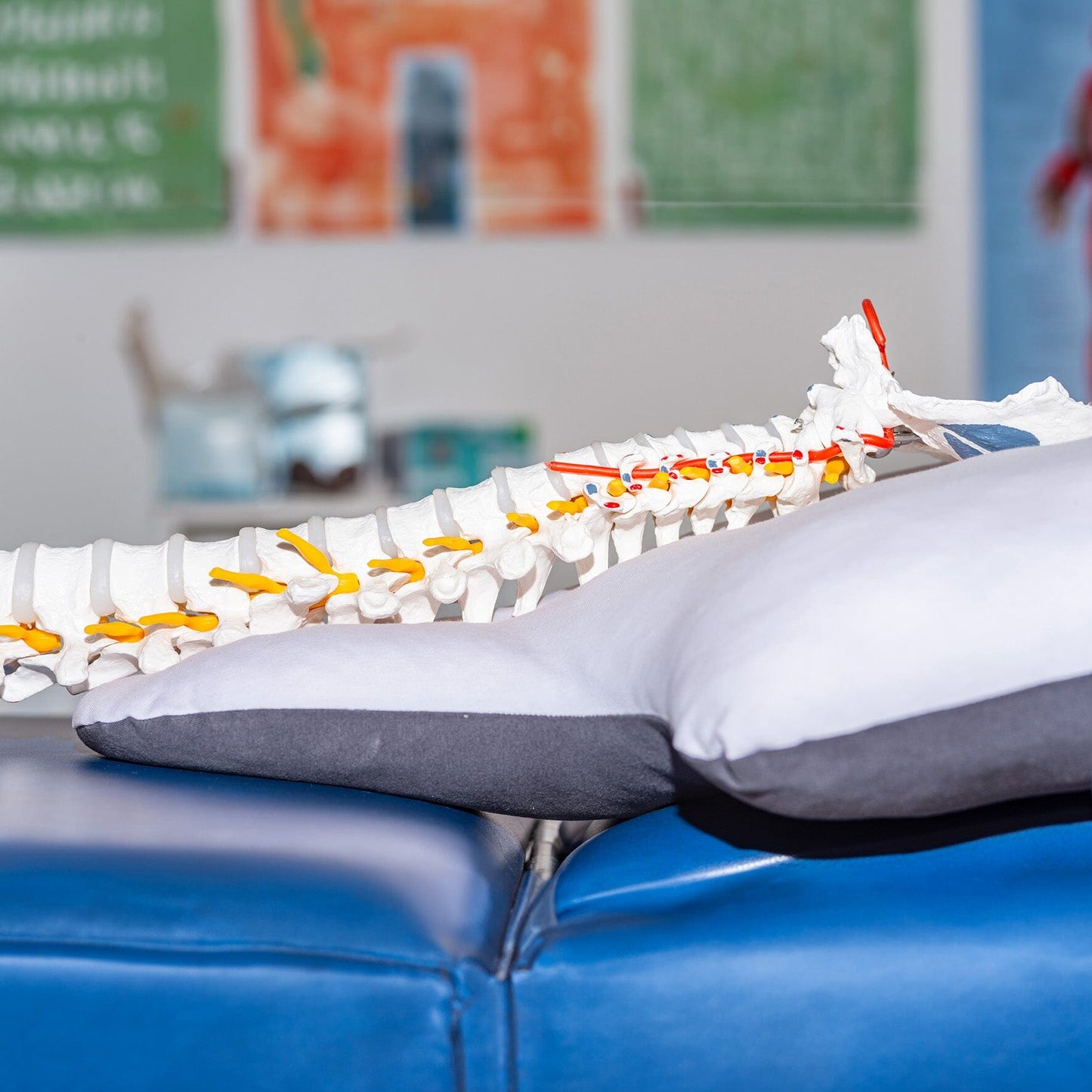 Cuscino per Supporto Cervicale in Puro Cotone - My Neck Guanciale Hefel